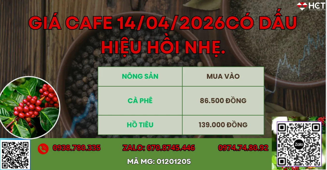 GIÁ CAFE 14/04/2026 CÓ TÍN HIỆU HỒI PHỤC NHẸ.